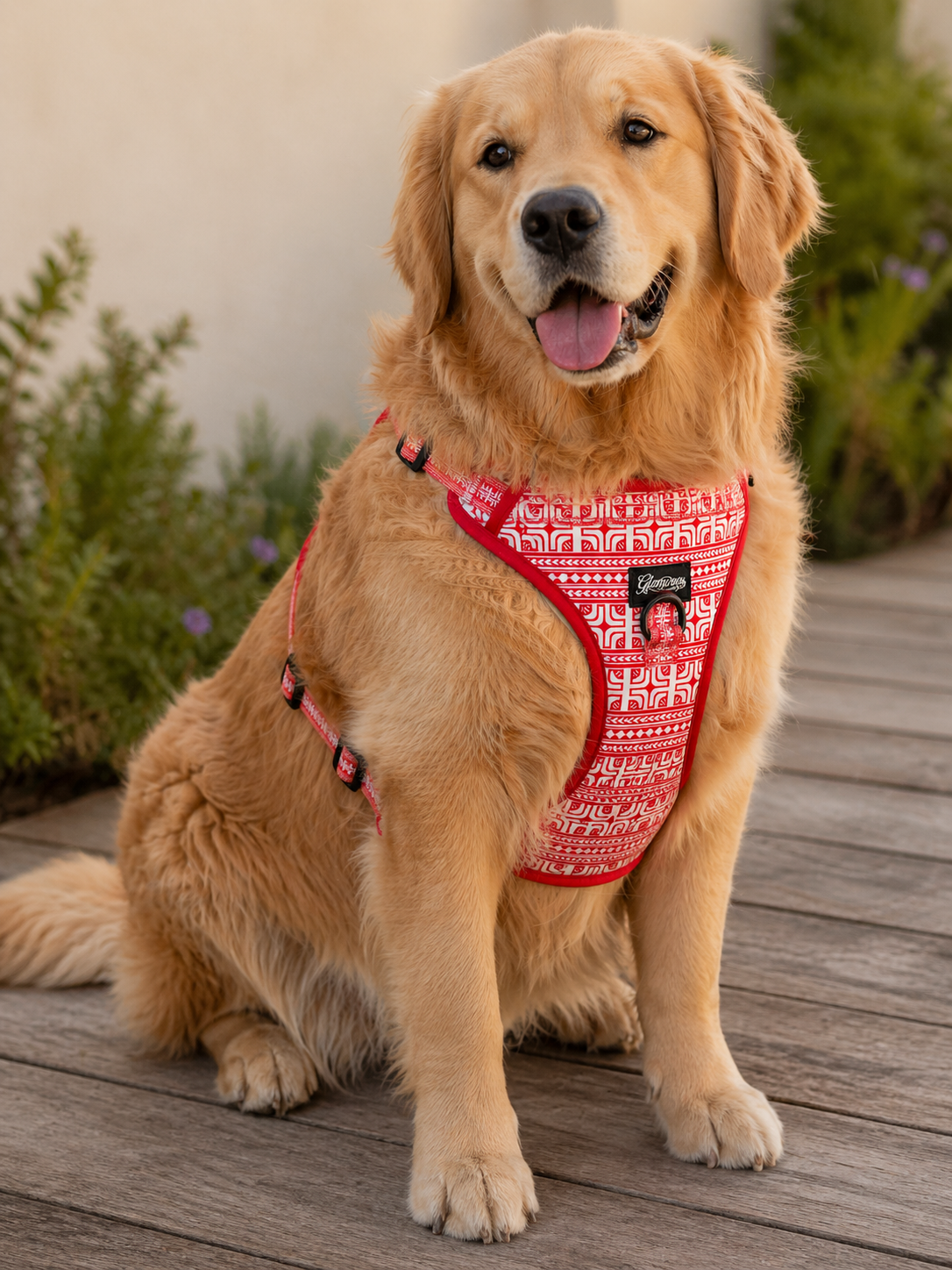 Dog No Pull Harness - Polynesian Designs