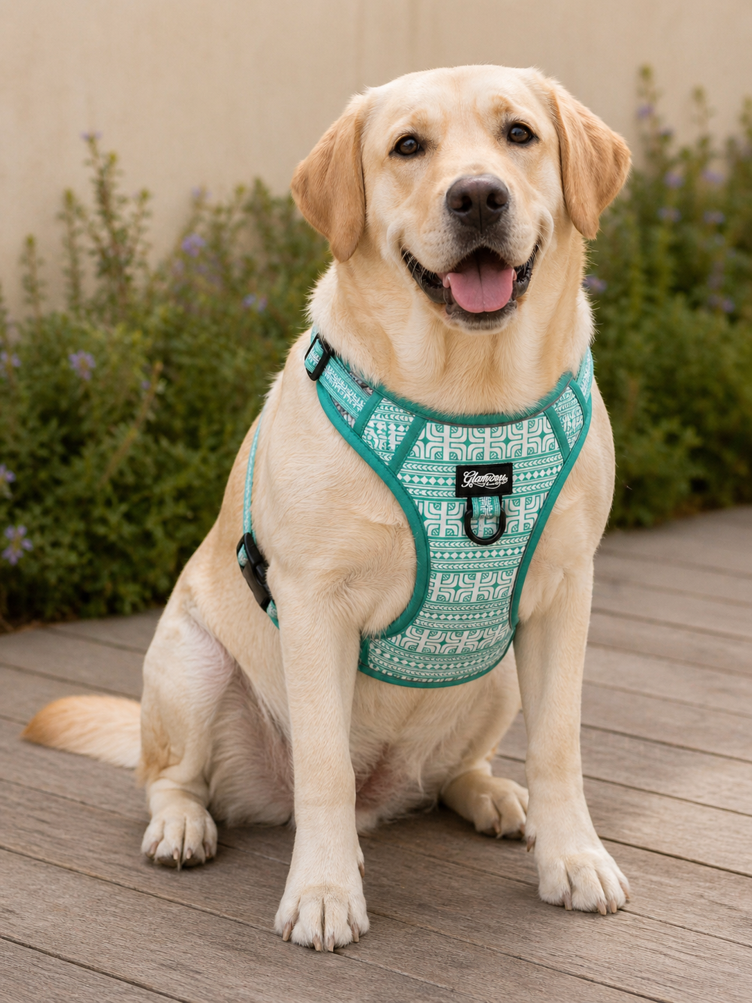 Dog No Pull Harness - Polynesian Designs