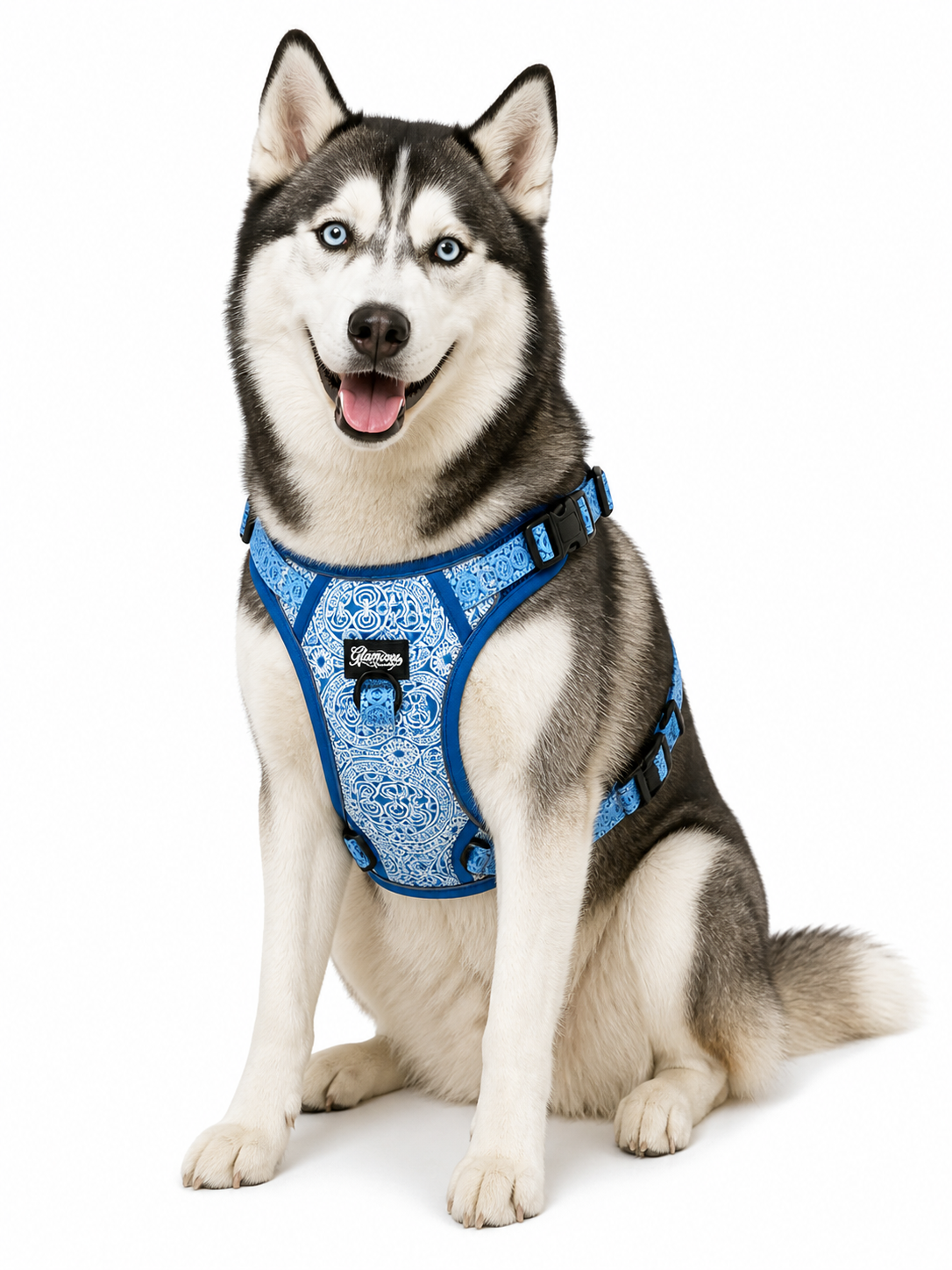 Dog No Pull Harness - Marquesas Designs