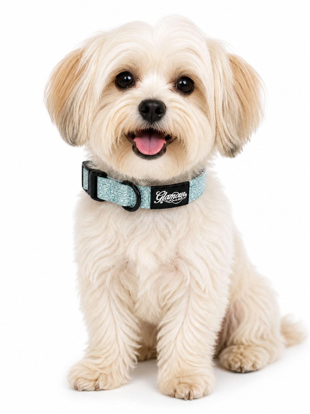 Dog Collars - Sun Tiki Design