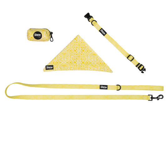 Pet Accessories Bundle - Tiki Sun Design