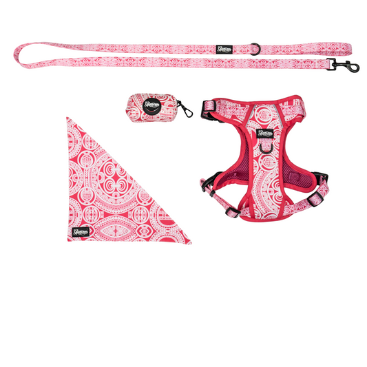 Pet Accessories Bundle - Marquesas Design