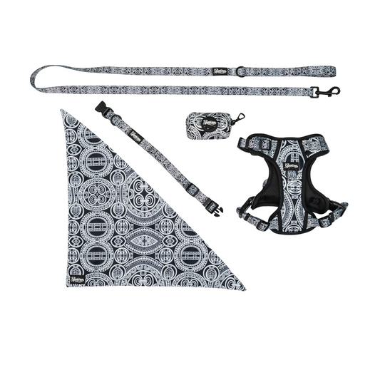 Pet Accessories Bundle - Marquesas Design