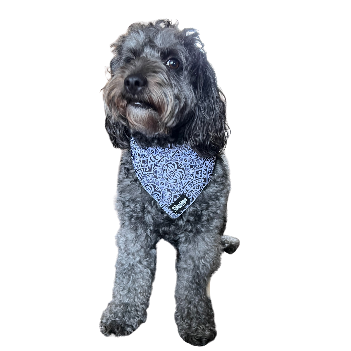 Pet Bandanas - Sun Tiki Design