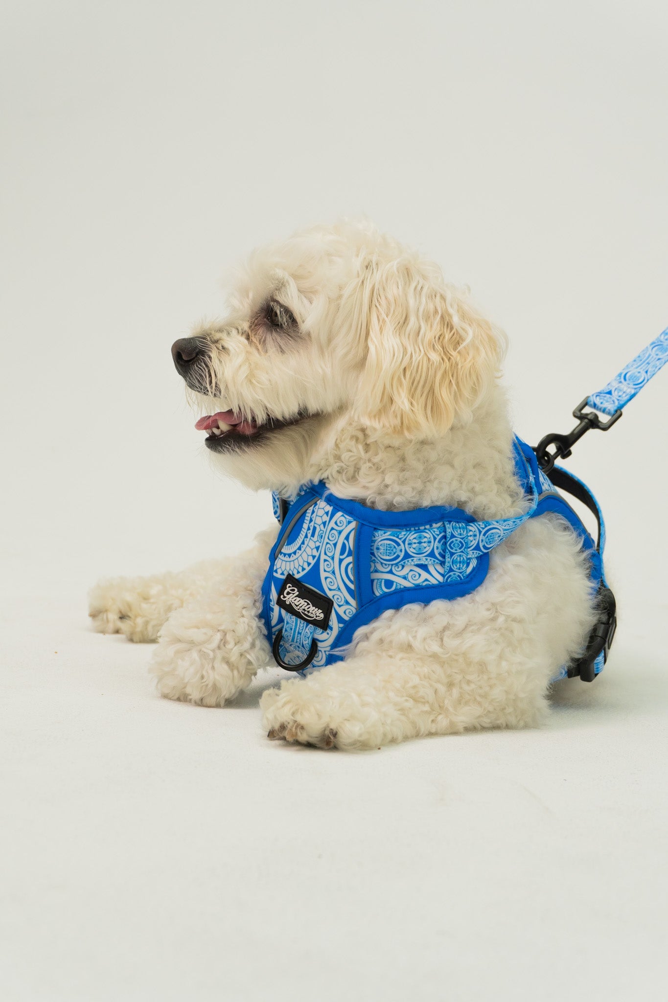 Dog Harness - Marquesas Designs