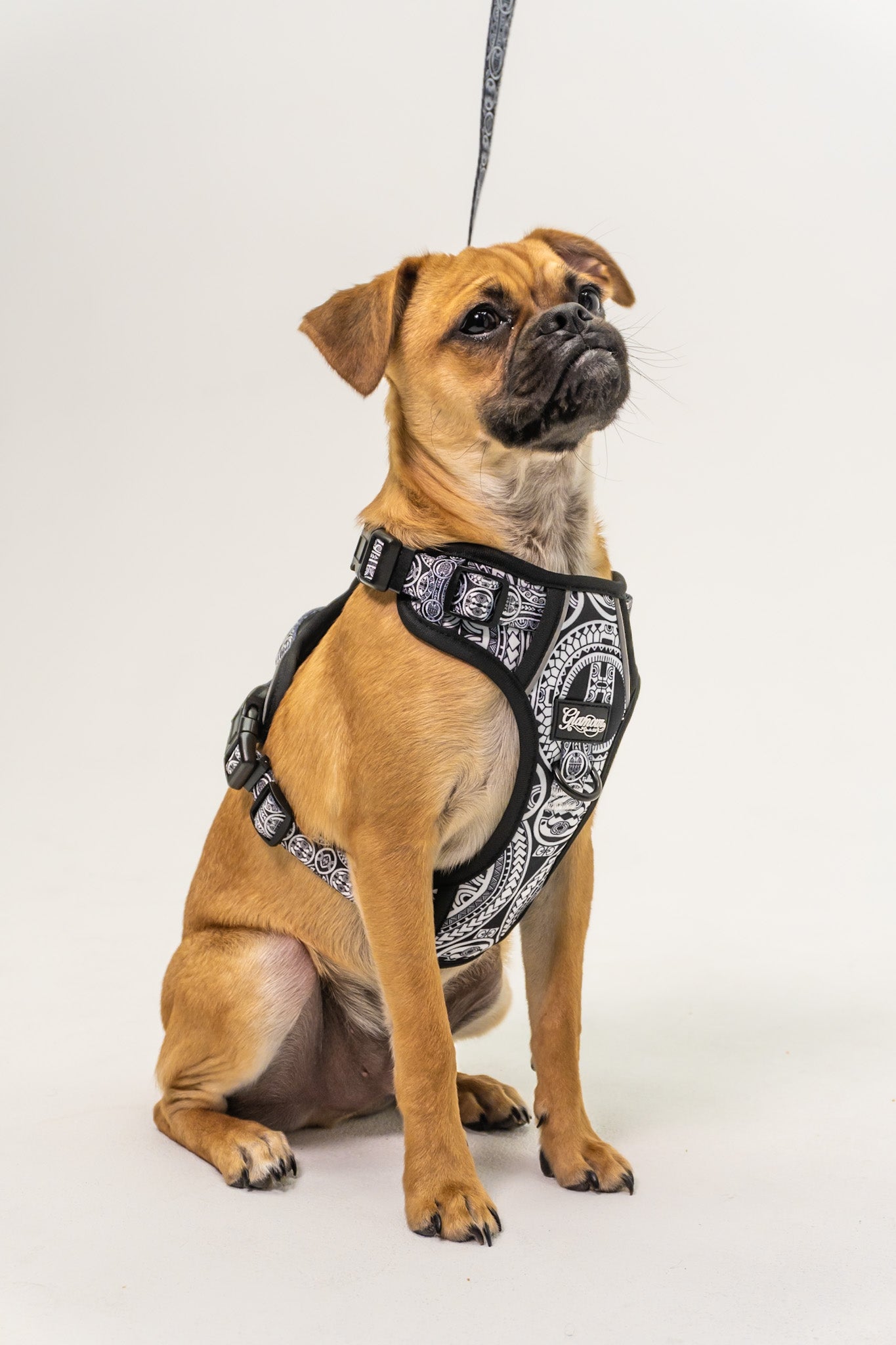 Dog Harness - Marquesas Designs