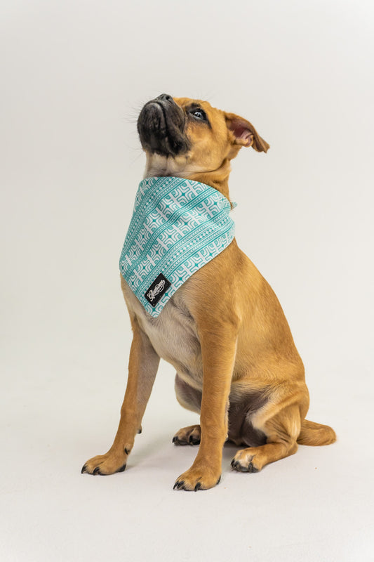 Pet Bandanas - Polynesian Designs