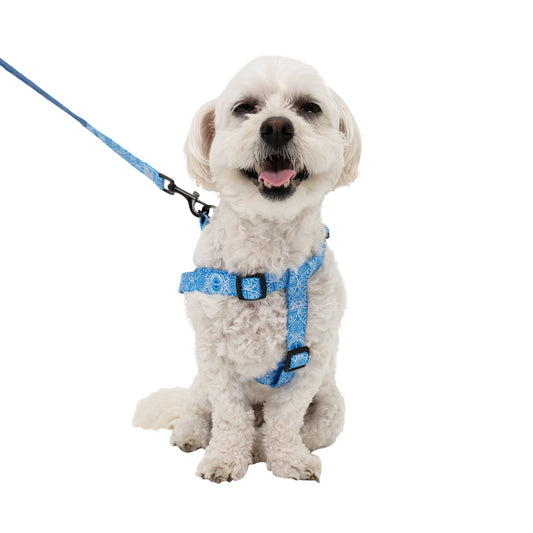 Dog Y Harness - Marquesas Designs
