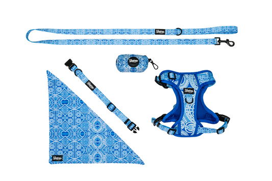 Pet Accessories Bundle - Marquesas Design