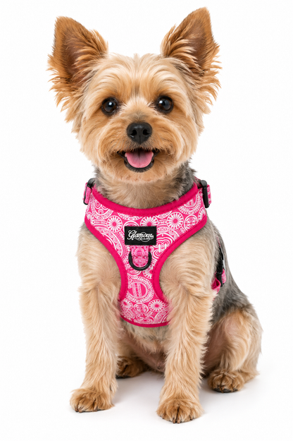 Dog Adjustable Harness - Marquesas Designs