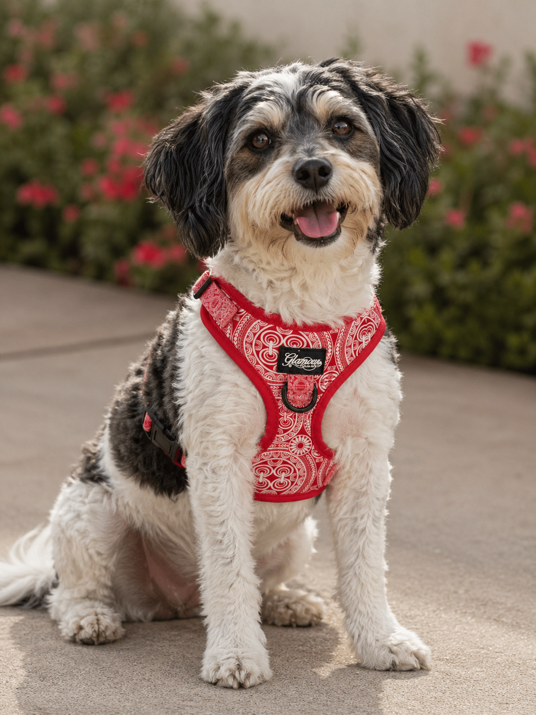 Dog Adjustable Harness - Marquesas Designs