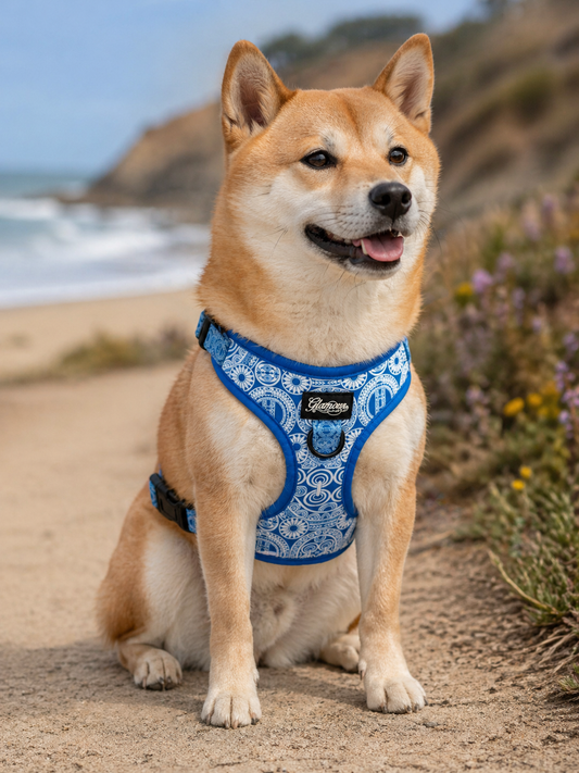 Dog Adjustable Harness - Marquesas Designs