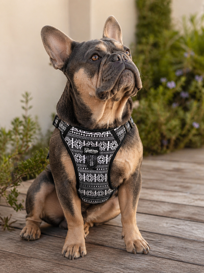 Dog No Pull Harness - Polynesian Designs