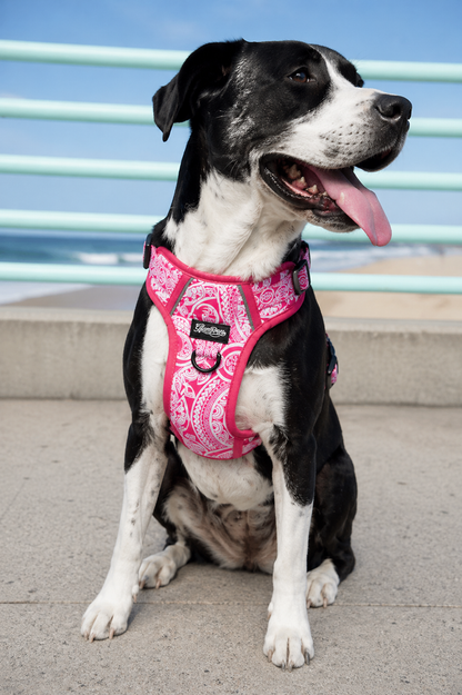 Dog No Pull Harness - Marquesas Designs