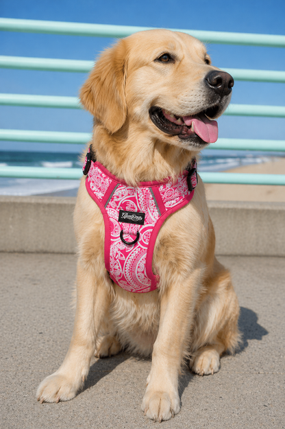 Dog No Pull Harness - Marquesas Designs