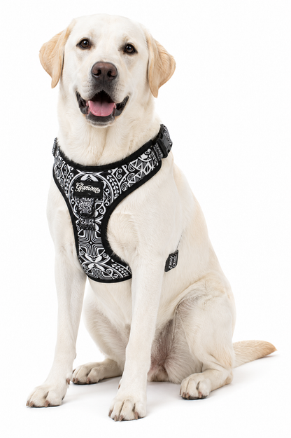 Dog Adjustable Harness - Sun Tiki Designs