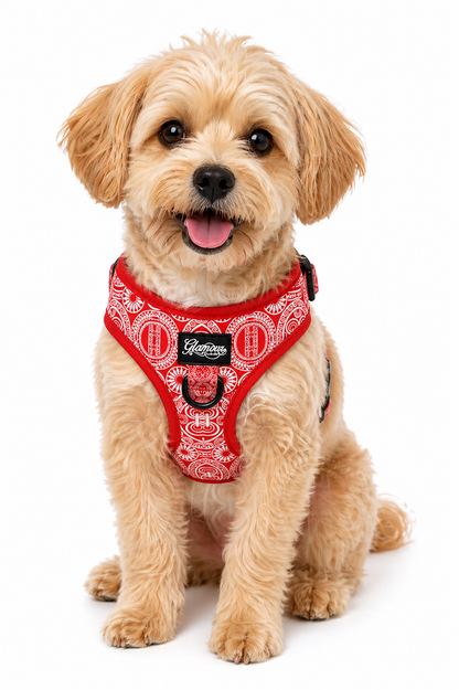 Dog Adjustable Harness - Marquesas Designs