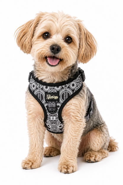 Dog Adjustable Harness - Marquesas Designs