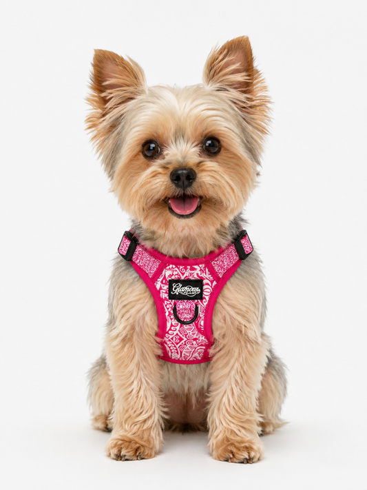 Dog Adjustable Harness - Sun Tiki Designs