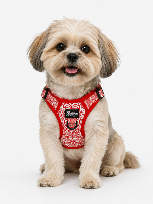 Dog Adjustable Harness - Sun Tiki Designs