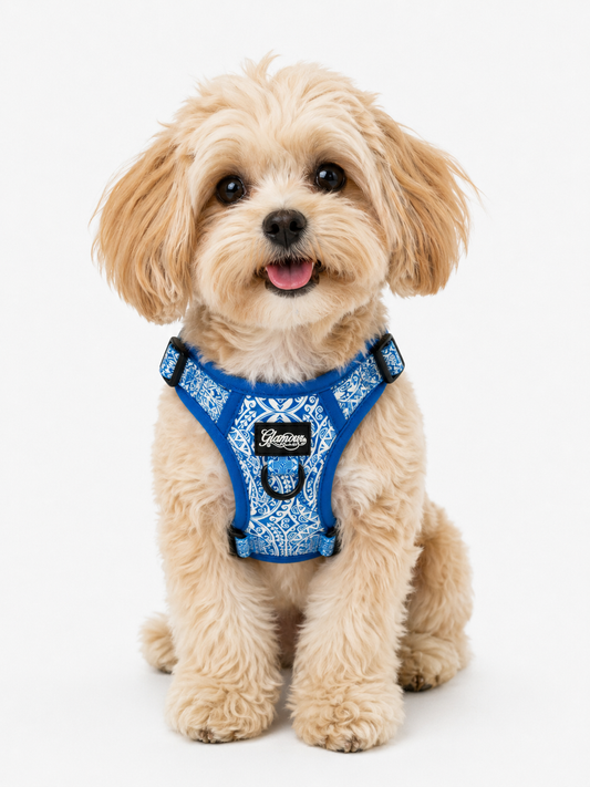 Dog Adjustable Harness - Sun Tiki Designs