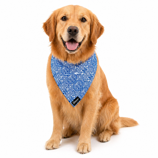 Pet Bandanas - Sun Tiki Design