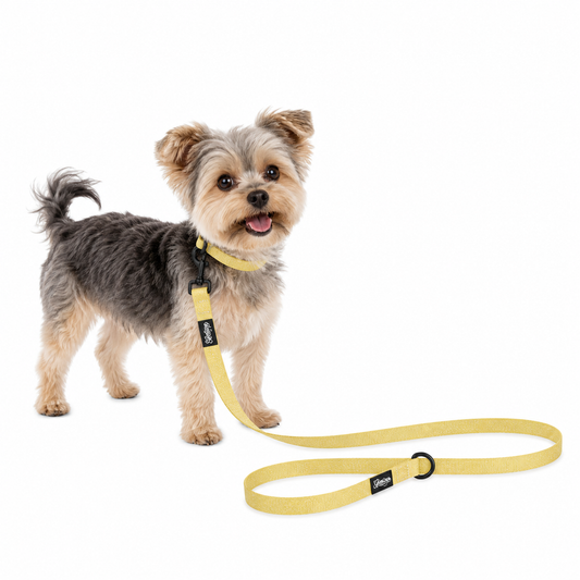 Pet Leash - Sun Tiki Design