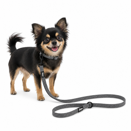 Pet Leash - Sun Tiki Design