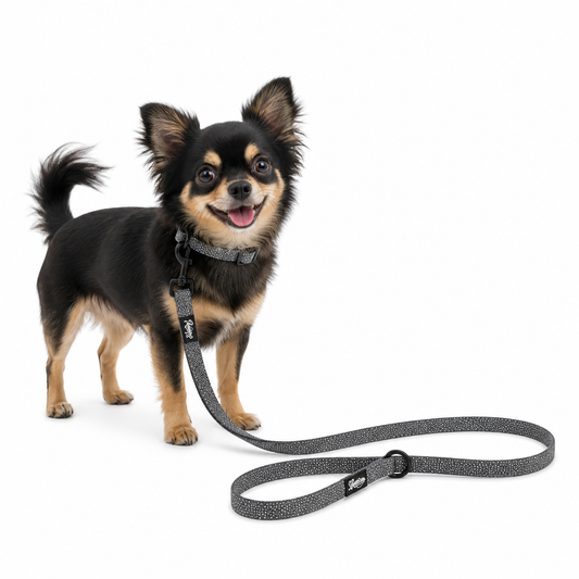 Pet Leash - Sun Tiki Design