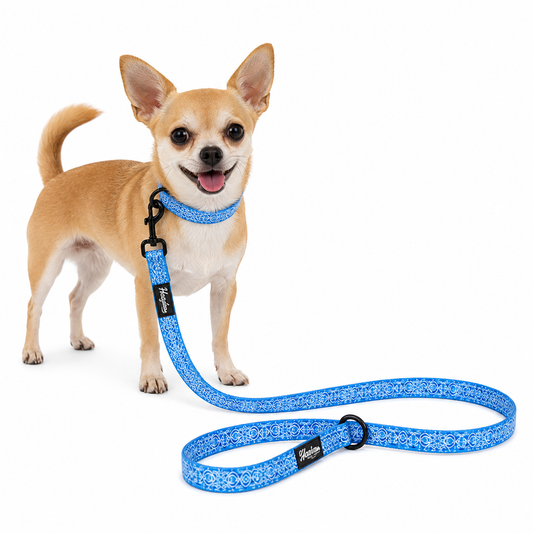 Pet Leash - Marquesas Designs