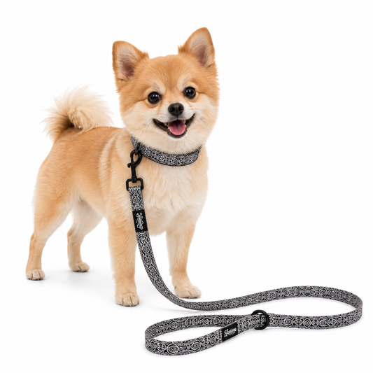 Pet Leash - Marquesas Designs