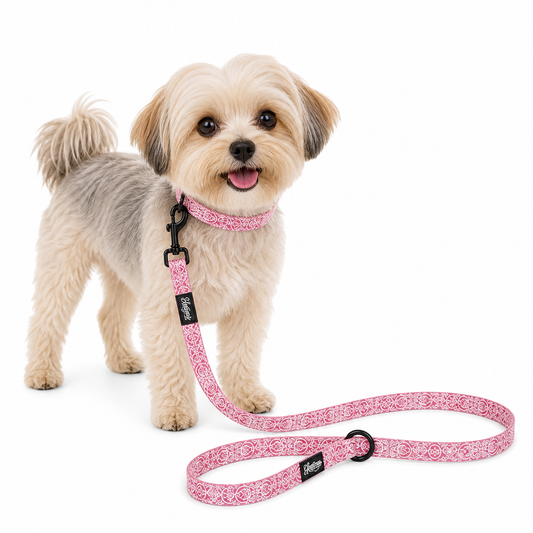 Pet Leash - Marquesas Designs