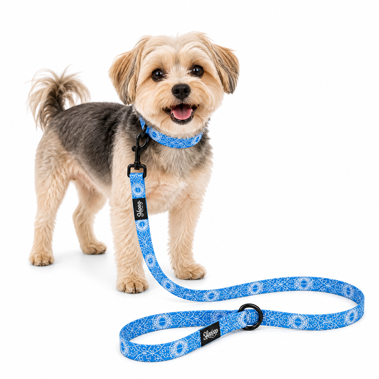 Pet Leash - Marquesas Designs