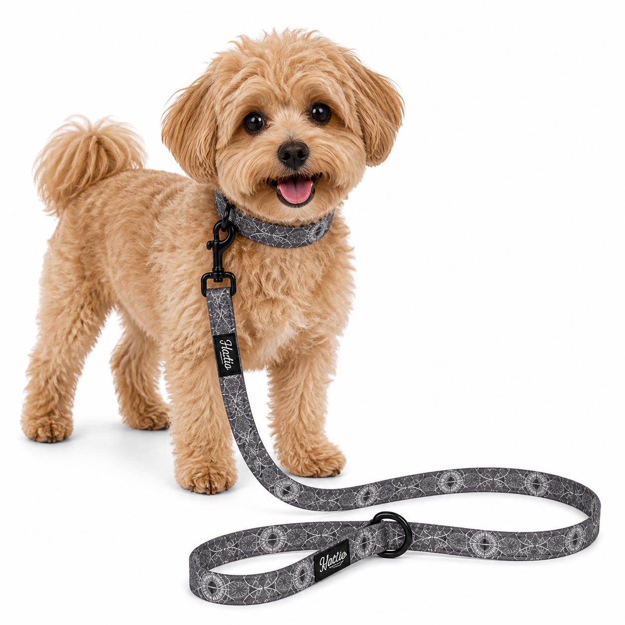Pet Leash - Marquesas Designs