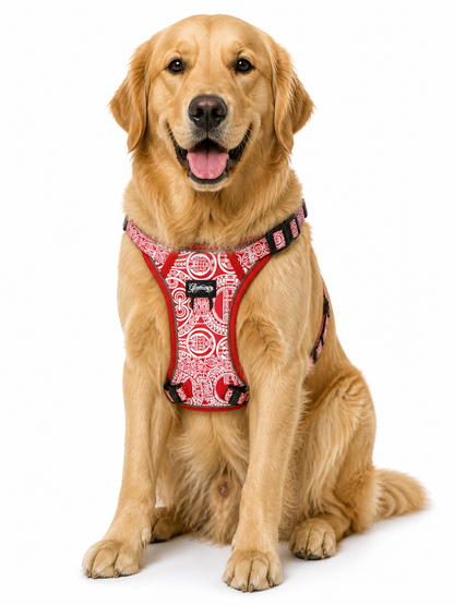 Dog No Pull Harness - Marquesas Designs