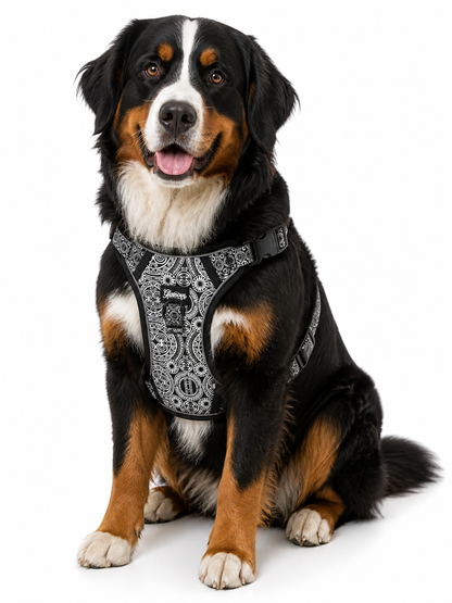 Dog No Pull Harness - Marquesas Designs