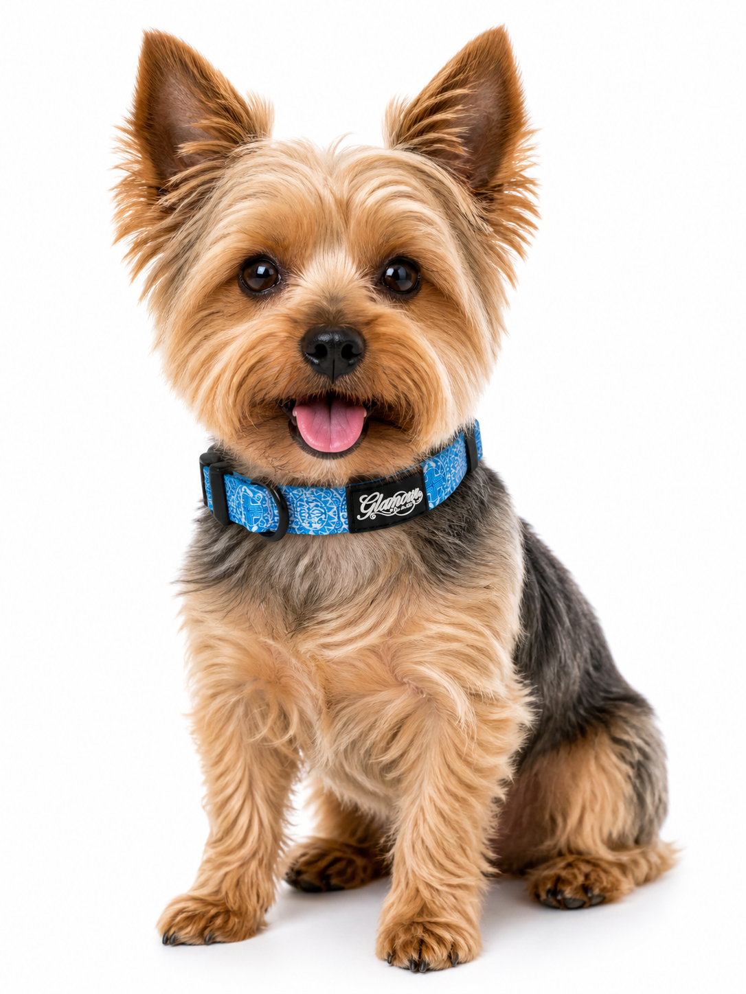 Dog Collars - Sun Tiki Design