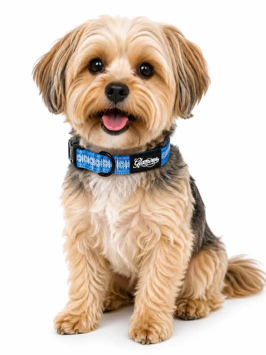 Dog Collars - Polynesian Designs