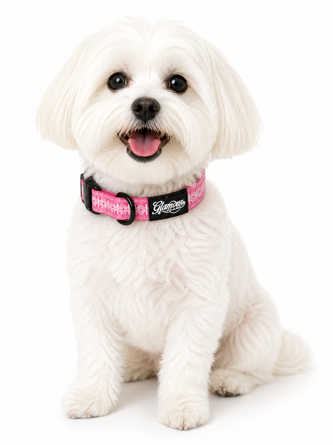 Dog Collars - Polynesian Designs