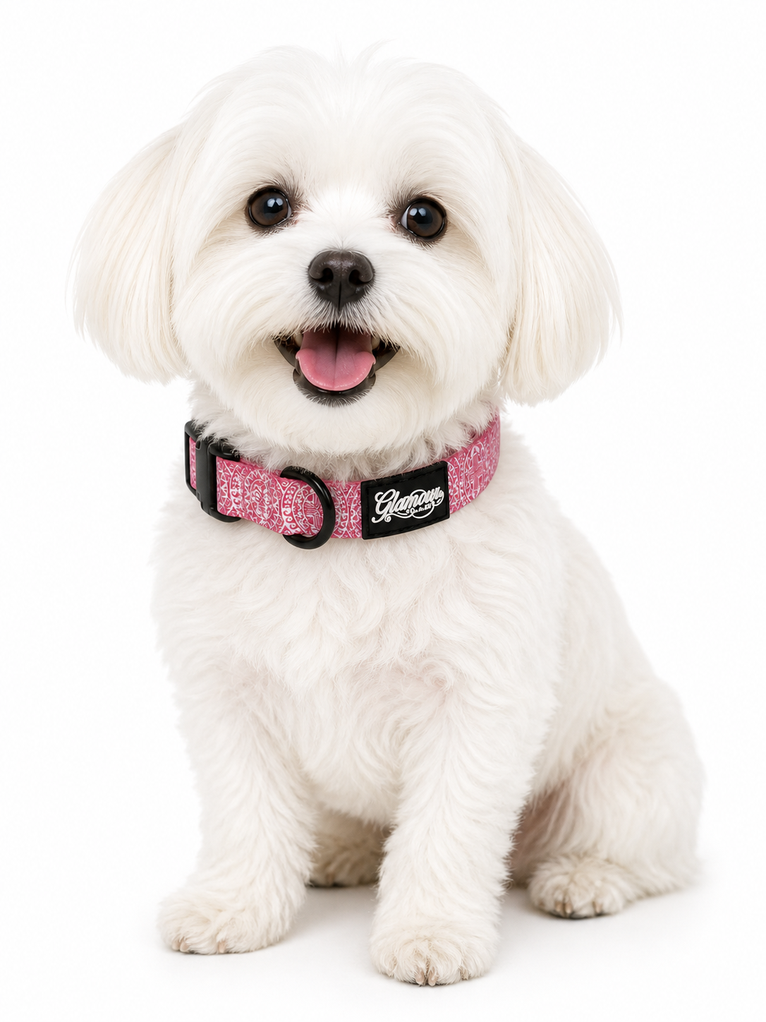 Dog Collars - Sun Tiki Design