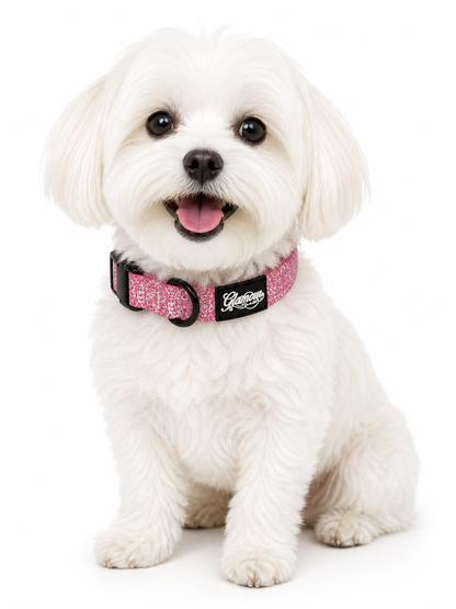 Dog Collars - Sun Tiki Design