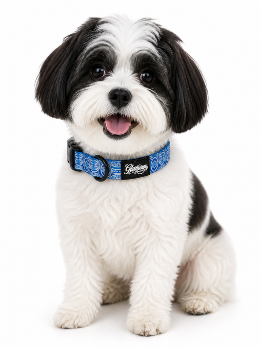 Dog Collars - Marquesas Designs