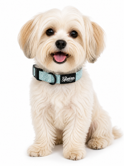 Dog Collars - Sun Tiki Design