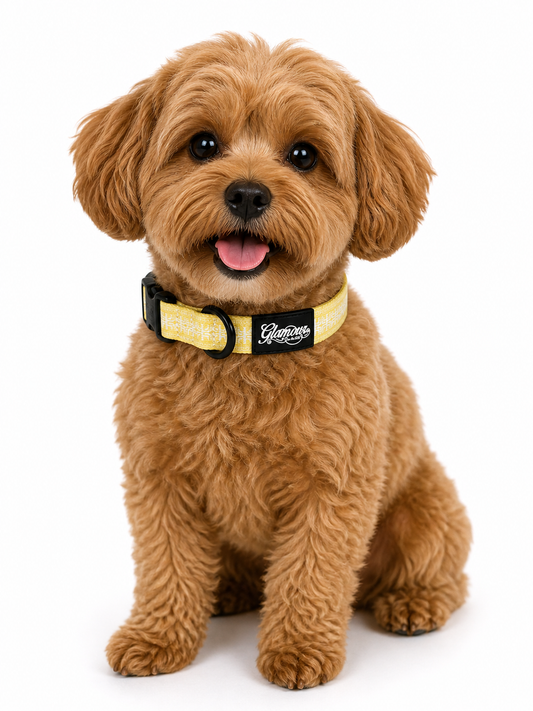 Dog Collars - Polynesian Designs