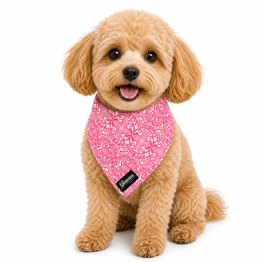 Pet Bandanas - Sun Tiki Design