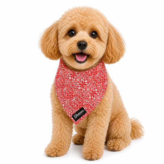 Pet Bandanas - Sun Tiki Design