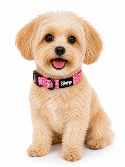 Dog Collar - Marquesas Designs