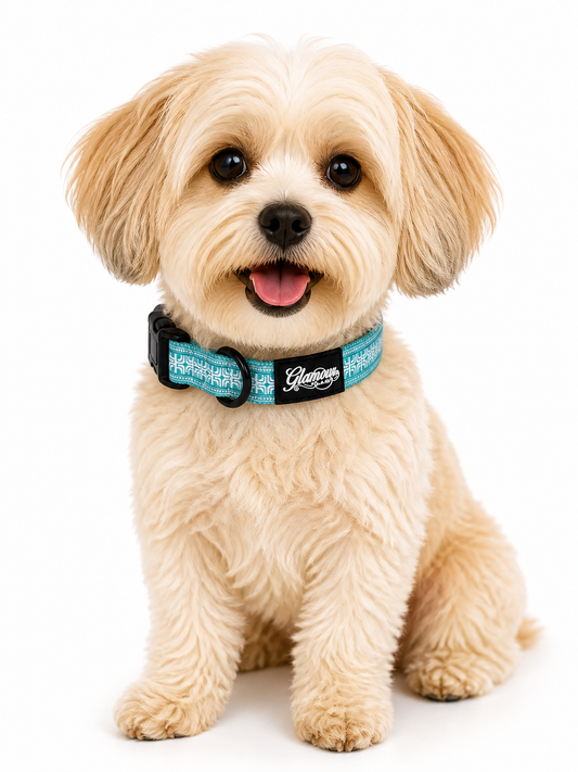 Dog Collars - Polynesian Designs