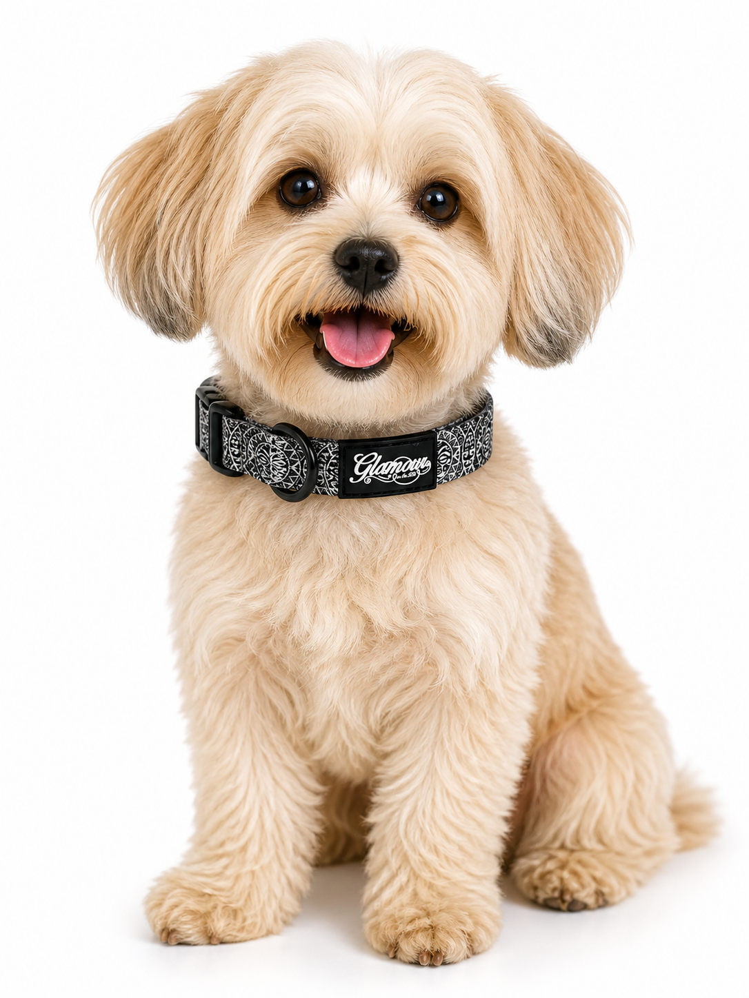 Dog Collars - Sun Tiki Design