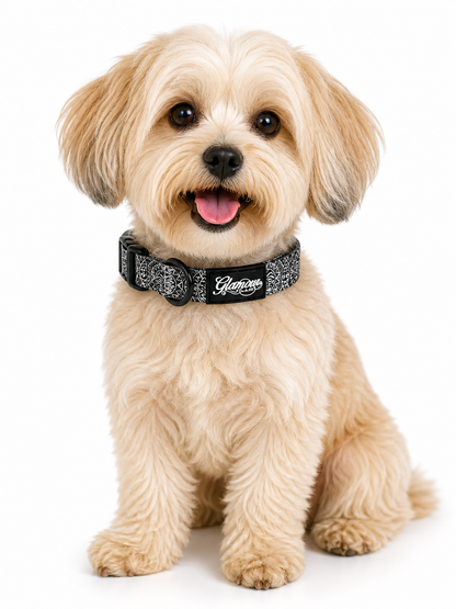 Dog Collars - Sun Tiki Design